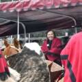 A 205 años de su muerte, Salta renovó el homenaje al General Güemes