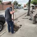 🌱 ROMPIÓ UN ÁRBOL Y AHORA DEBERÁ PLANTAR 31: ORÁN CONVIERTE EL DAÑO EN UNA OPORTUNIDAD DE REPARACIÓN