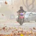 Viento, calor y sequedad: Salta enfrenta una jornada de alto riesgo de incendios